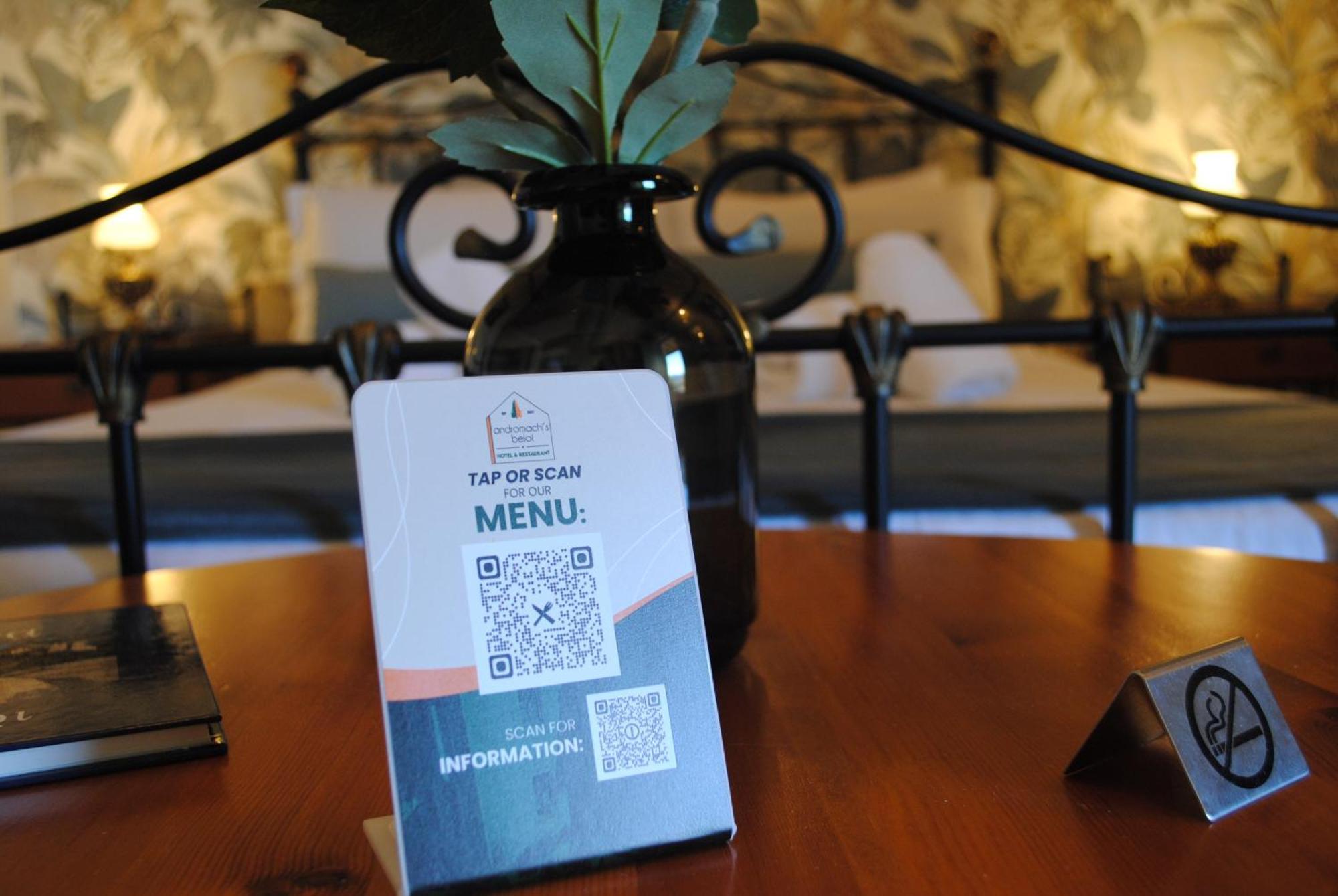 Andromachi'S Beloi Hotel Vitsa Bagian luar foto