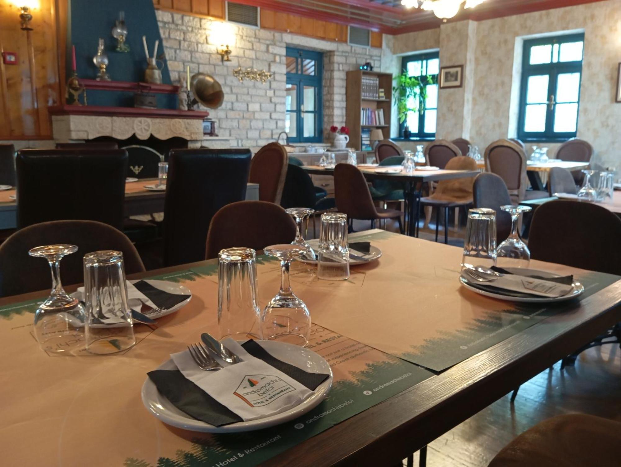 Andromachi'S Beloi Hotel Vitsa Bagian luar foto